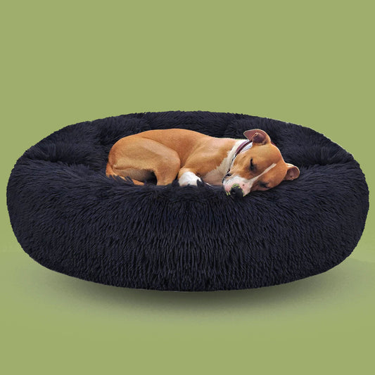 Coussin pour chien doux