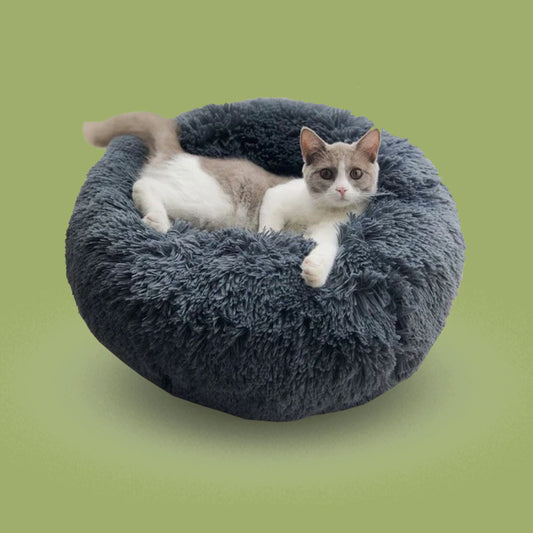 Coussin pour chat