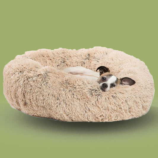 Coussin molleux pour chien